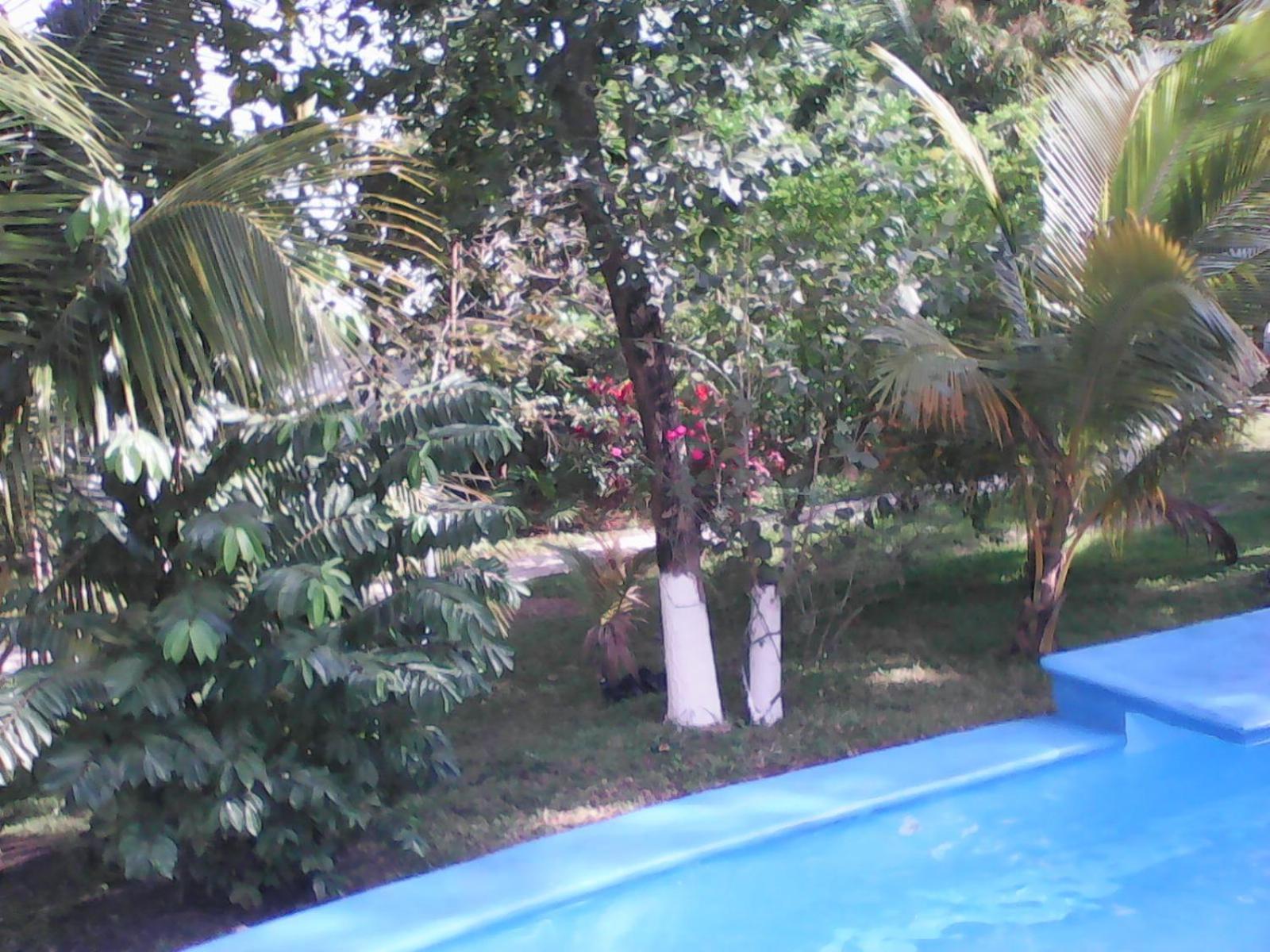 Mansion Giahn Bed & Breakfast Κανκούν Εξωτερικό φωτογραφία